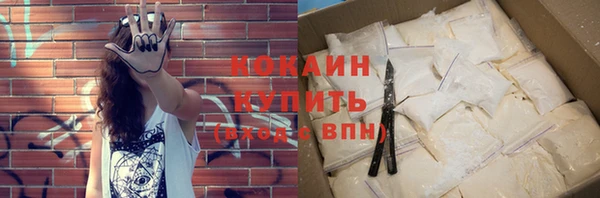 гидра Арсеньев