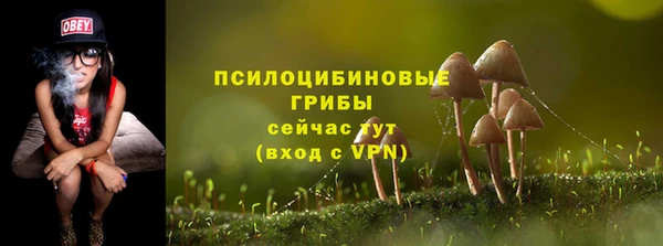соль ск Аркадак