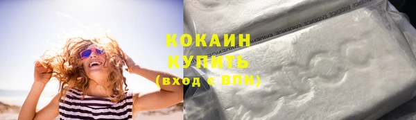 гидра Арсеньев