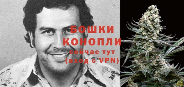 гидра Арсеньев