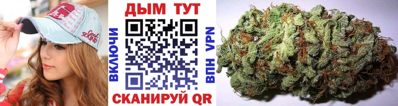 Купить где  Магнитогорск  Конопля марихуана 